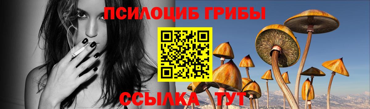 Щёлково  купить   Псилоцибиновые грибы ЛСД  Вход с VPN  Галлюциногенные грибы Cubensis 
